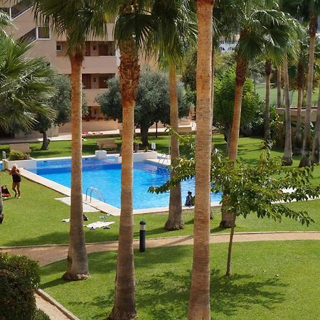 Apartamento Alcoy El Albir ภายนอก รูปภาพ